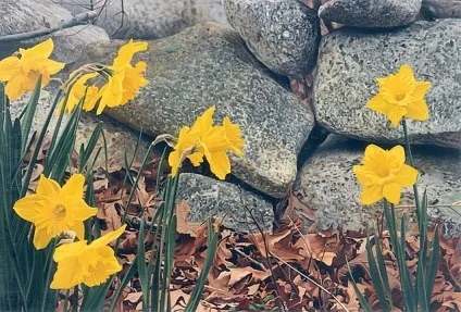 Думаєш, звичайна фотографія збільш - з глузду з'їхати можна!