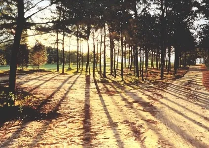 Думаєш, звичайна фотографія збільш - з глузду з'їхати можна!