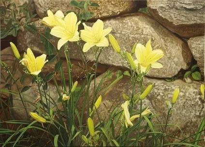 Думаєш, звичайна фотографія збільш - з глузду з'їхати можна!