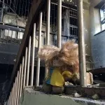 Фото українських «кіборгів» - захисників донецького аеропорту, репортер ua (українських) Фото українських «кіборгів» - захисників донецького аеропорту, репортер ua