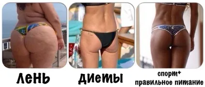 Фітнес дієта список продуктів (дієта) Фітнес дієта список продуктів