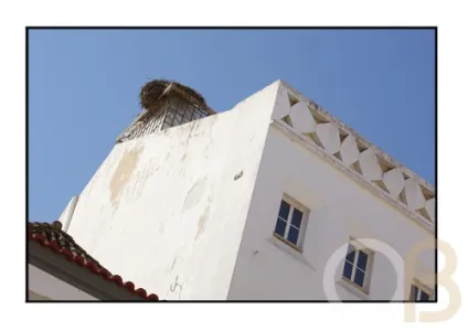 Faro (фару)