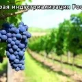 Гідротаран піднімає воду на висоту декількох десятків метрів (декількох) Гідротаран піднімає воду на висоту декількох десятків метрів