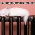 Гідротаран піднімає воду на висоту декількох десятків метрів (воду) Гідротаран піднімає воду на висоту декількох десятків метрів