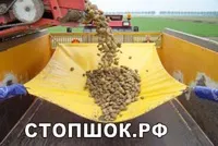 Де і коли він з'явився