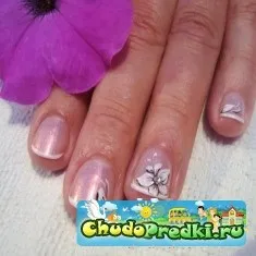 Французький манікюр в домашніх умовах (домашніх) Французький манікюр в домашніх умовах