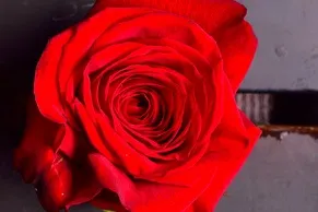 Гістограма і обробка зображення (зображення) Гістограма і обробка зображення