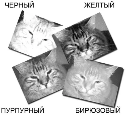 Глава 7 канали