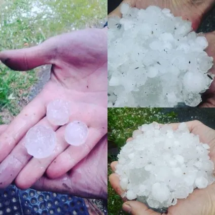Galargo, Galar, галарго, радість в житті (мій бізнес) Galargo, Galar, галарго, радість в житті