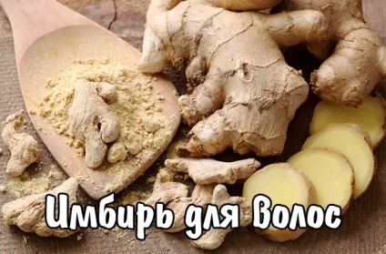Імбир для волосся - користь і застосування (імбир) Імбир для волосся - користь і застосування