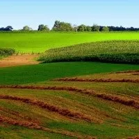 Зміна категорії земельної ділянки