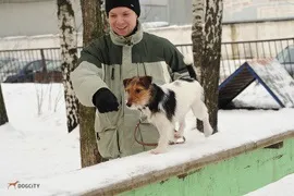 Іровка - професійна дресирування собак (дресирування собак) Іровка - професійна дресирування собак