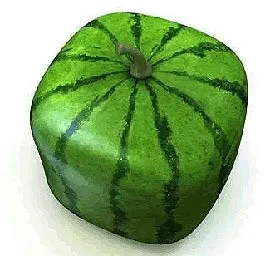 Історія кавуна