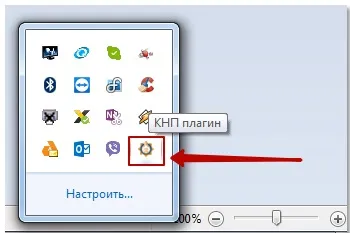 Інструкція по налаштуванню плагіна і входу в кабінет платника податків (платника податків) Інструкція по налаштуванню плагіна і входу в кабінет платника податків