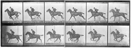 Винахід фотографії і кінематографа дата (винахід фотографії Дата) Винахід фотографії і кінематографа дата