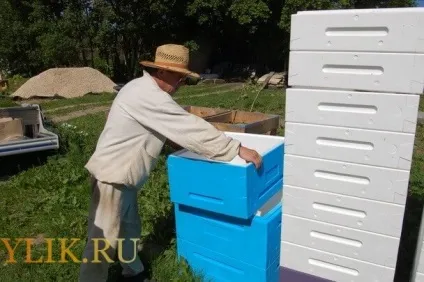 Виготовлення вуликів з пінополістиролу і не тільки креслення і відгуки (виготовлення) Виготовлення вуликів з пінополістиролу і не тільки креслення і відгуки