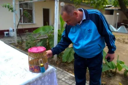 Мистецтво співати перепілкою