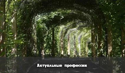 Які професії актуальні список перспективних професій (актуальні) Які професії актуальні список перспективних професій