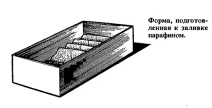 Як виготовити корпус для автомоделі
