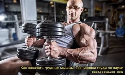 Як накачати грудні м'язи, тренування грудей з науки (жим штанги) Як накачати грудні м'язи, тренування грудей по науці