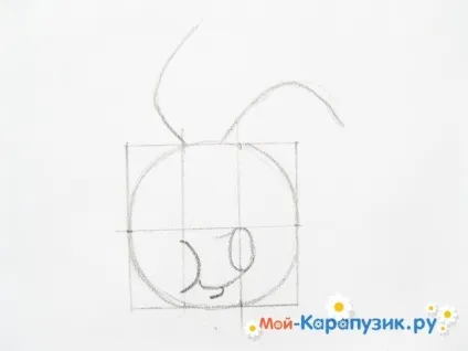 Як намалювати п'ятачка поетапно олівцем (п'ятачка) Як намалювати п'ятачка поетапно олівцем
