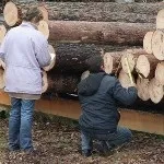 Як визначити кубічні метри круглої деревини (круглої) Як визначити кубічні метри круглої деревини