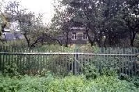 Як оформити земельну частку (оформити) Як оформити земельну частку