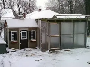 Як обігріти курник взимку як заощадити і що використовувати (заощадити) Як обігріти курник взимку як заощадити і що використовувати