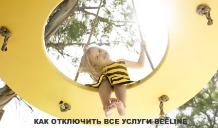 Як відключити всі платні послуги билайн (відключити) Як відключити всі платні послуги билайн