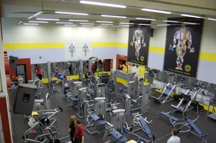 Як відкрити тренажерний зал - корисно знати (франчайзинг goldsgym) Як відкрити тренажерний зал - корисно знати