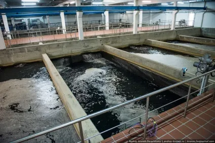 Як очищають воду для наших кранів, як це зроблено (воду) Як очищають воду для наших кранів, як це зроблено