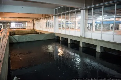 Як очищають воду для наших кранів, як це зроблено (воду) Як очищають воду для наших кранів, як це зроблено
