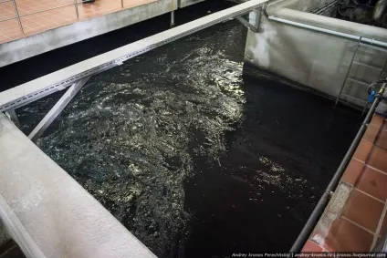 Як очищають воду для наших кранів, як це зроблено (воду) Як очищають воду для наших кранів, як це зроблено