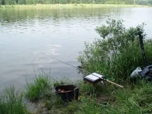 Як правильно ловити плотву на вудку »