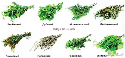 Як правильно паритися в лазні, лазня build (правильно) Як правильно паритися в лазні, лазня build