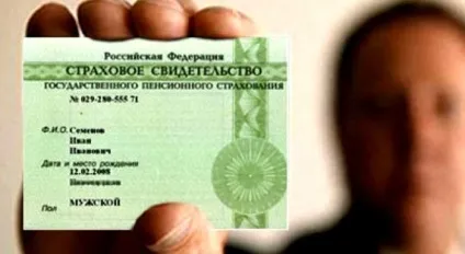 Як отримати СНІЛС на дитину як зробити СНІЛС дитині (зробити) Як отримати СНІЛС на дитину як зробити СНІЛС дитині