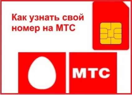 Як зателефонувати в поліцію з мобільного телефону мтс (зателефонувати) Як зателефонувати в поліцію з мобільного телефону мтс