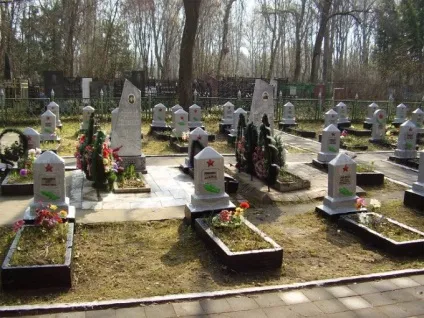 Як поховати попугая 1