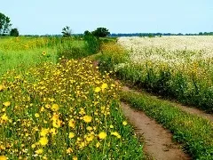 Як розрахувати відстань до грози метеовесті від Фобос (розрахувати) Як розрахувати відстань до грози метеовесті від Фобос