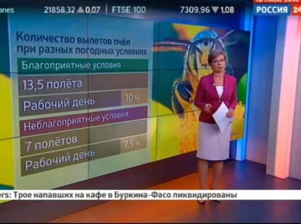 Як розрахувати відстань до грози метеовесті від Фобос (грози) Як розрахувати відстань до грози метеовесті від Фобос