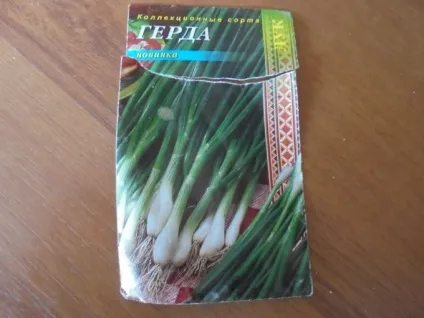 Як розмножити цибулю, як зібрати насіння (насіння) Як розмножити цибулю, як зібрати насіння