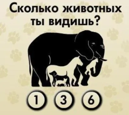 Як розвивати посидючість і увагу (розвивати посидючість увагу) Як розвивати посидючість і увагу