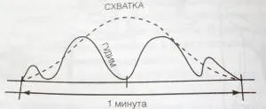 Пологи без болю і страху (Книга Пологи страху) Пологи без болю і страху