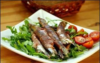 Риба салака користь і шкода (риба) Риба салака користь і шкода