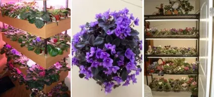 Як зробити стелажі і полиці для фіалок своїми руками (фіалок) Як зробити стелажі і полиці для фіалок своїми руками