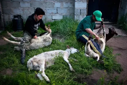 Як зараз живе народ у щасливій монголії