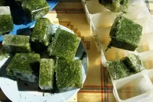 Як зберегти на зиму свіжий кріп принципи зберігання свіжої зелені, як зберігати продукт в (зберігання) Як зберегти на зиму свіжий кріп принципи зберігання свіжої зелені, як зберігати продукт в