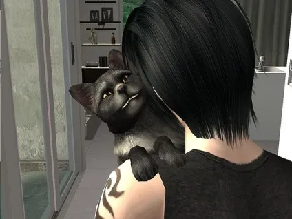 Як з'єднати sims 2