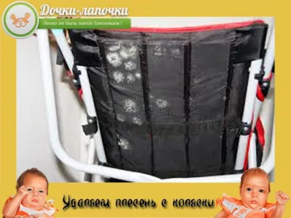 Як прибрати цвіль з коляски виводимо грибок назавжди (block data-ad-client ca-pub-6115677583548458) Як прибрати цвіль з коляски виводимо грибок назавжди