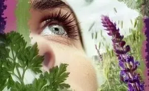 Як вибрати хороший чай, як визначити якість чаю